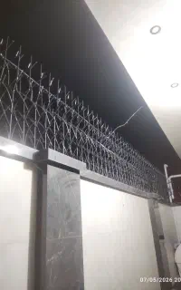 شاخ گوزنی و نیزه ارزان قیمت دیوارتو امن کن جوشکار