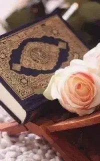 قرآن ختم میکنم قیمت ختم قرآن هم توافقی