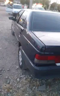 پژوآردی 84