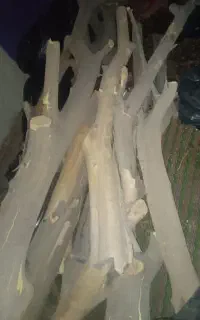 چوب پرتقالی