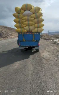 خریدوفروش کاه گندم جو و عدس