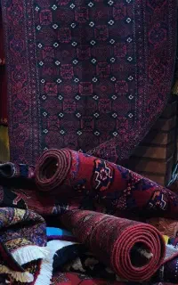 قالیشویی شاهرود