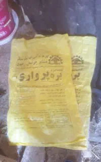 کیسه