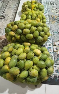انبه مخصوص ترشی