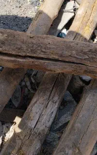 خریدار انواع چوب