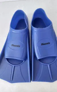 فین شنا