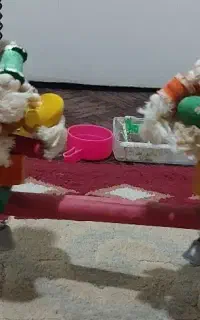 وسایل پرنده