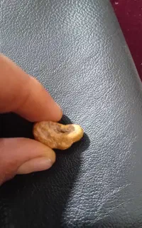 شهاب سنگ