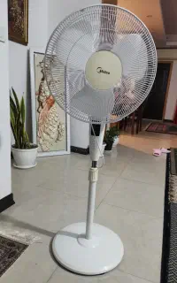 پنکه میدیا