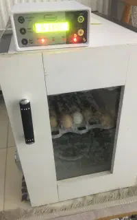 دستگاه جوجه کشی ۸۴عددی