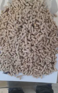 خوراک مخصوص اسب