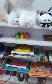 شلف ام دی اف
