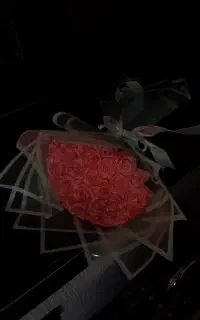 گل روبانی زرگل