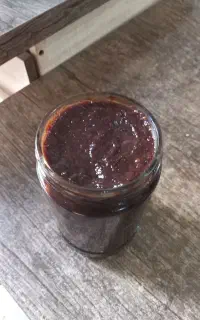 رب آلوچه لاهیجان
