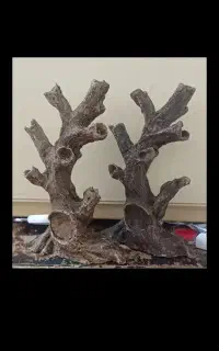 تنه