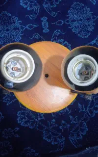 لوستردوشاخه