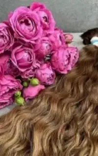 فروش مو خریدار اصلی مو