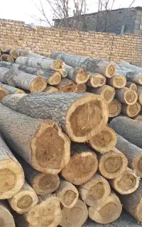 خرید انواع چوب