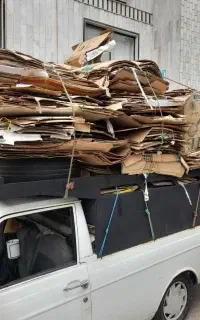 کارتن وکتاب