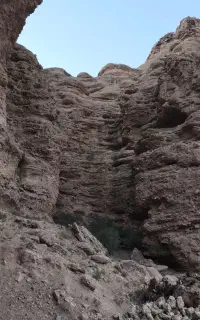 راهنمایی برای سرمایه گذاری