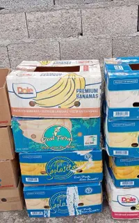 کارتن موز