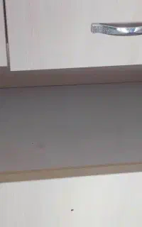 دراور