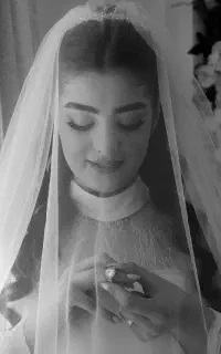 عکاسی و فیلمبرداری