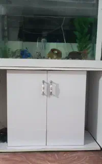 اکواریوم