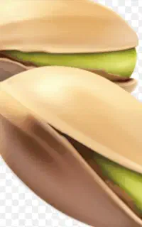 مدیریت‌و سرپرستی‌باغات پسته