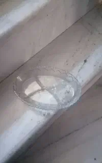 آجیل خوری