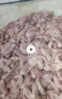 خرده مرغ و بچه فیله