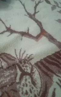 فرش