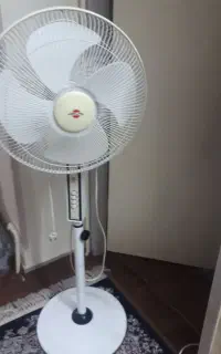 پنکه ایستاده