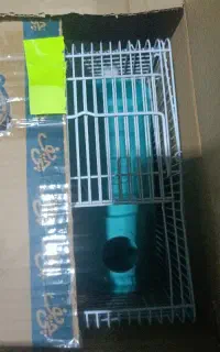 قفس همستر