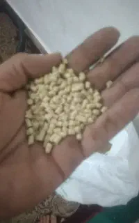 دان پارس درجه یک برا مرغ گوشتی