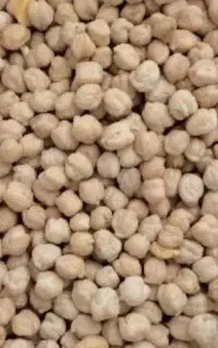 نخود ریز و درشت