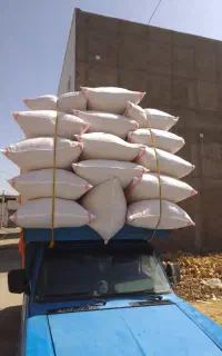 کاه گندم دیمی