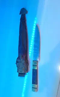 کلکسیون