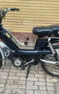 ویکتوریا