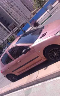 206 سفارشی ساخت