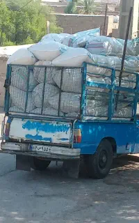 کاه دیم