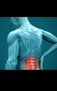 شکسته بند تجربی