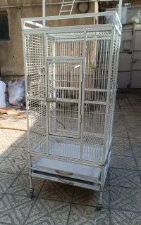 قفس کاسکو