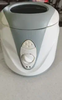 مینی سرخ کن