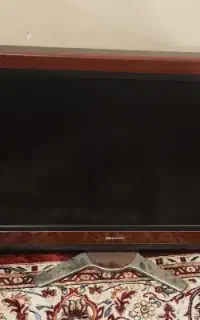 تلویزیون LCD سوخته