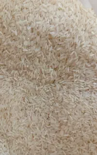 برنج