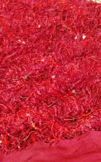 لباس کوردی