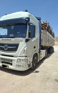 خرید انواع چوب (بالاترین قیمت)