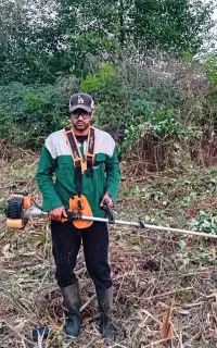 خدمات  چمن زنی علف زنی شمشاد زنی تمشک زنی هرس درخت