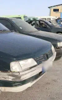 اردی اسقاطی